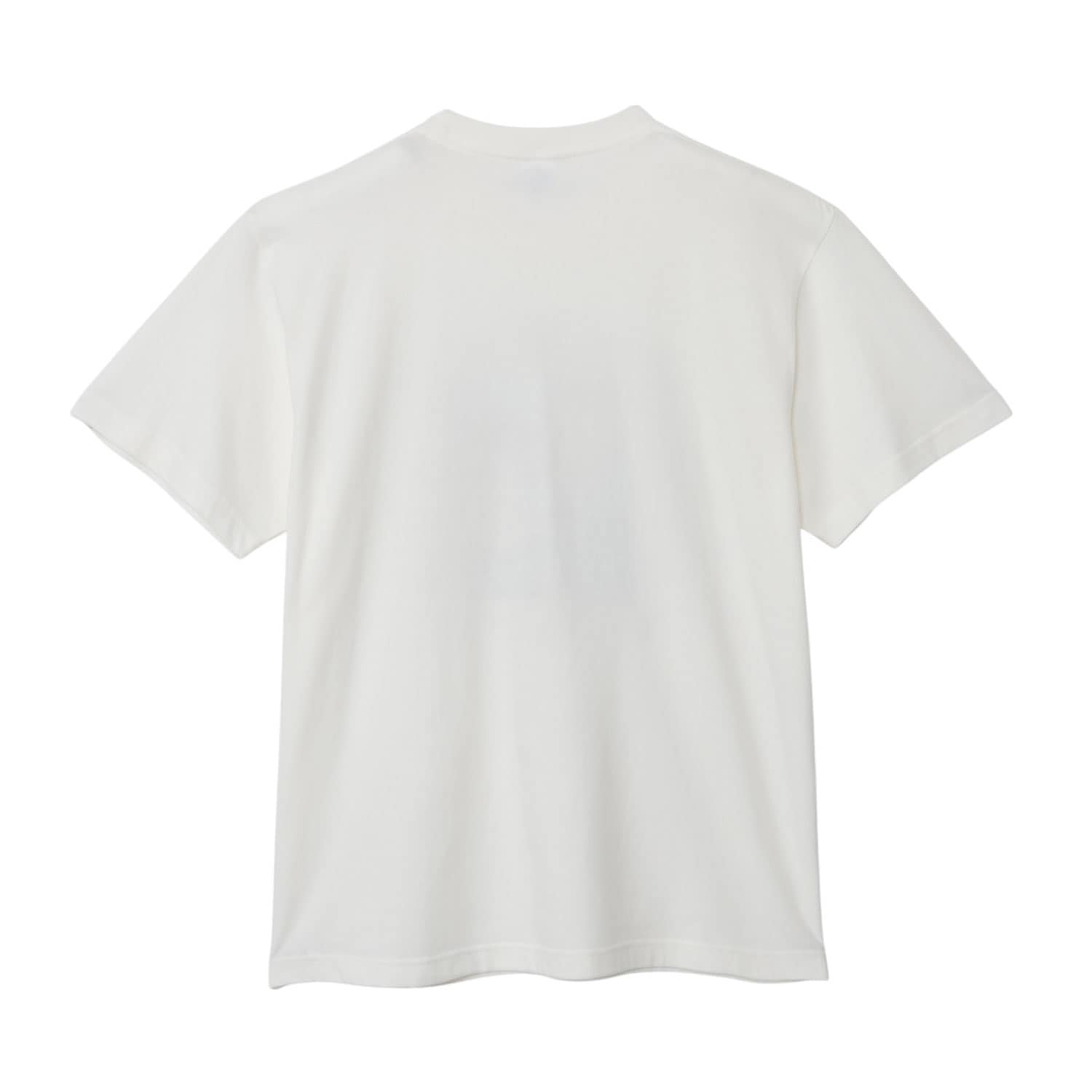 [公式]ディズニー フローズン アート コレクション BY 中川翔子／Ｔシャツ  戴冠式  M/L