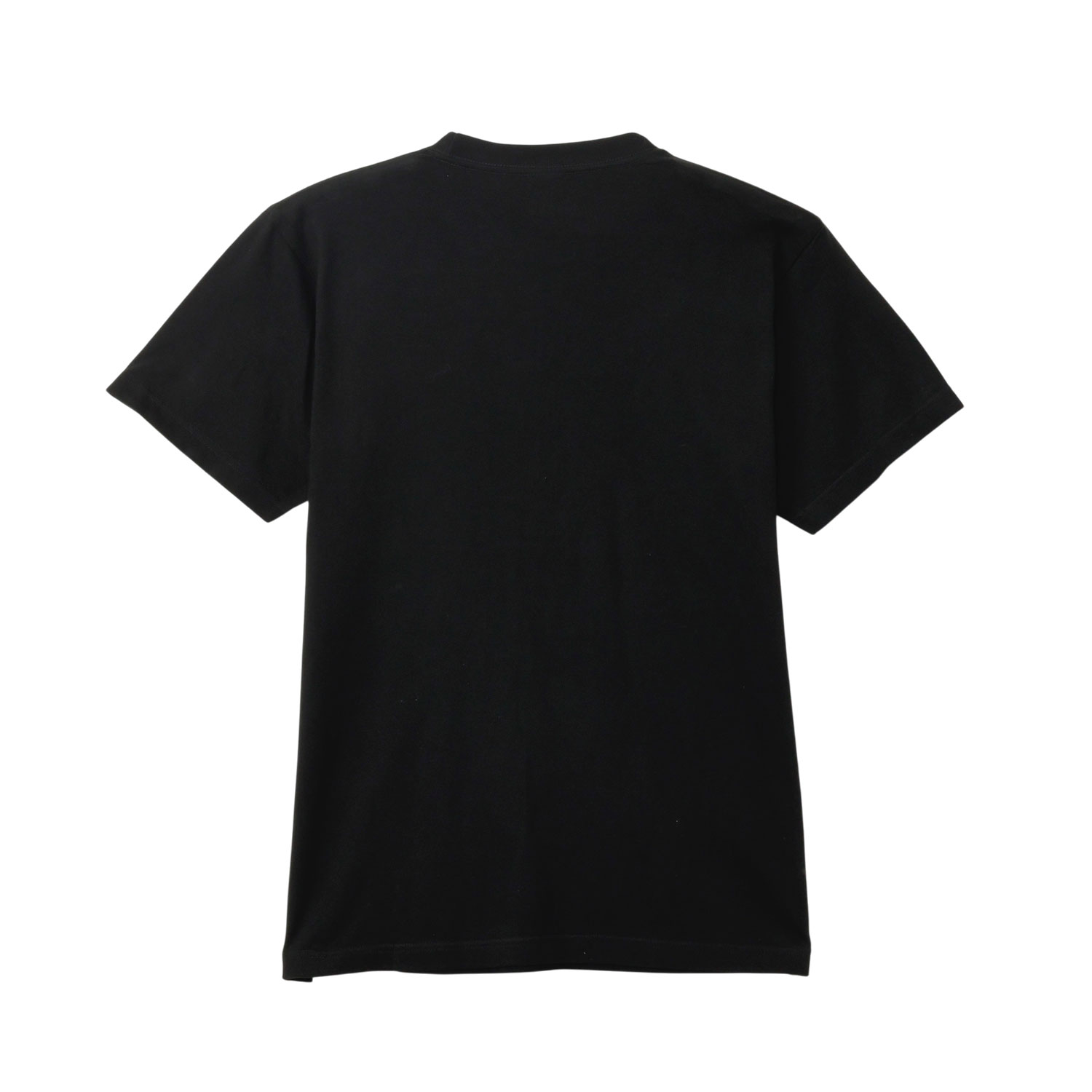 [公式] メーカー直営 ディズニー キャット＆ドッグ BIGプリントTシャツ ふしぎの国のアリス チェシャ猫 アップ