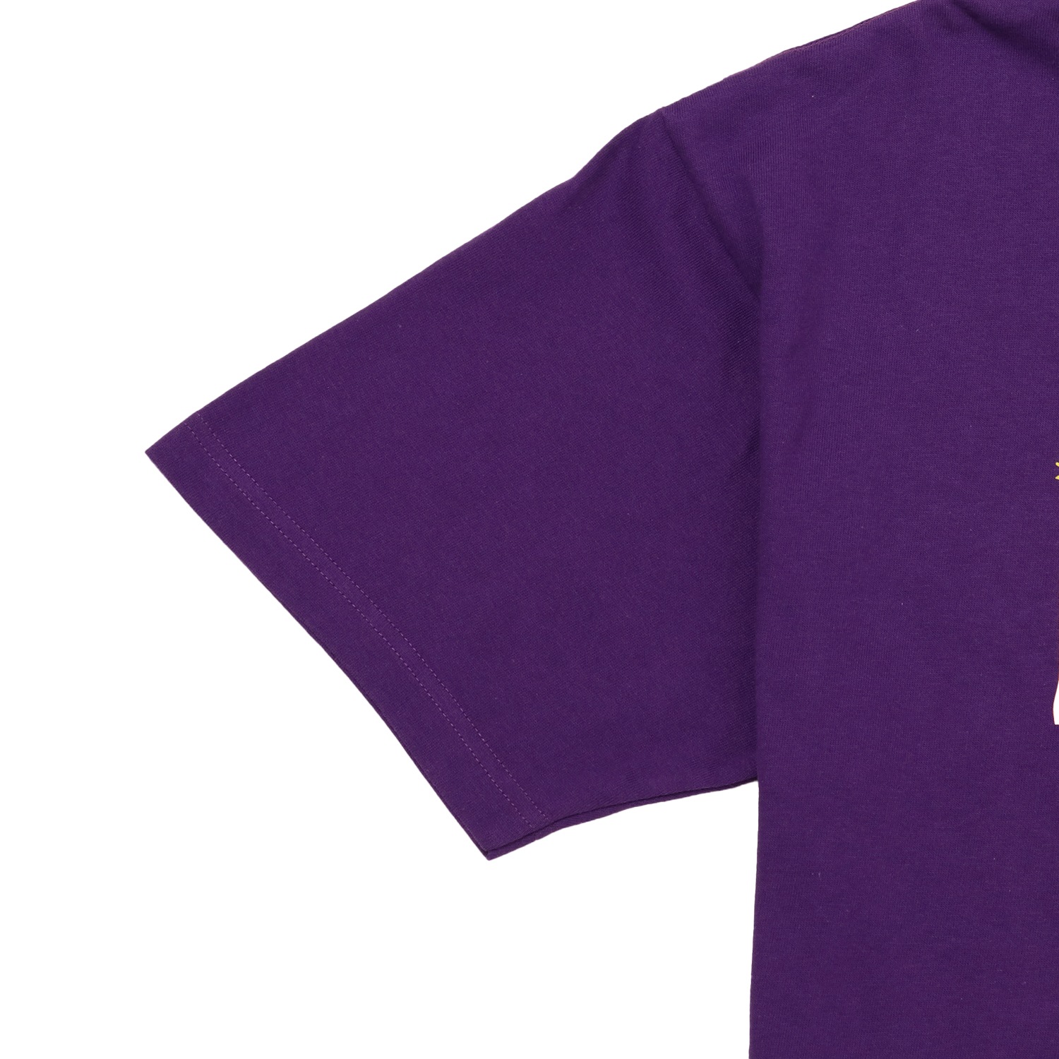[公式]メーカー直営 【NOSTALGICA 100シリーズ】 ノスタルジカ ディズニーＴシャツ シンバ