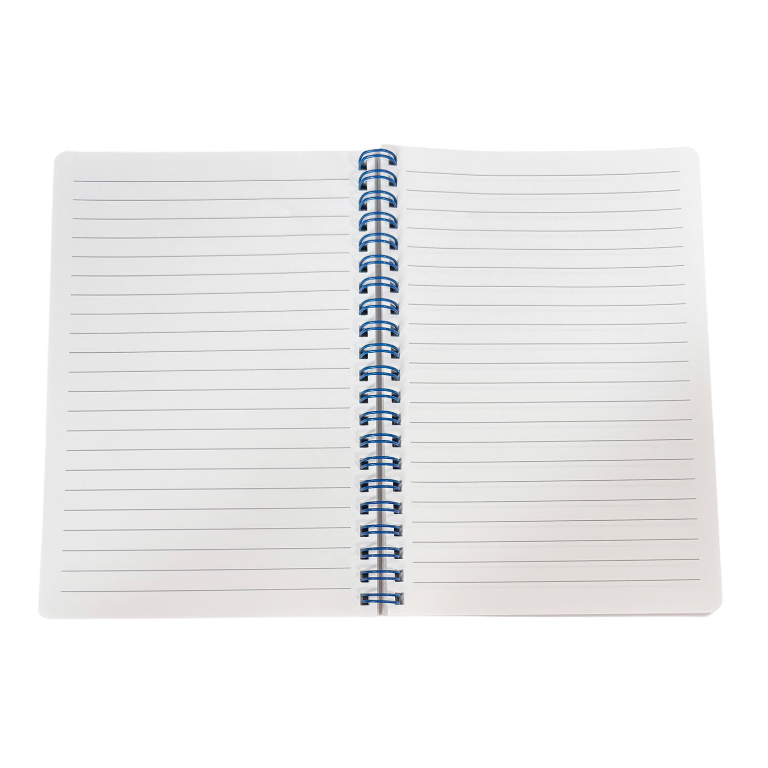 [公式] ディズニー ノスタルジカ　NOSTALGICA　リングノート　リトル・マーメイド ／フラワー