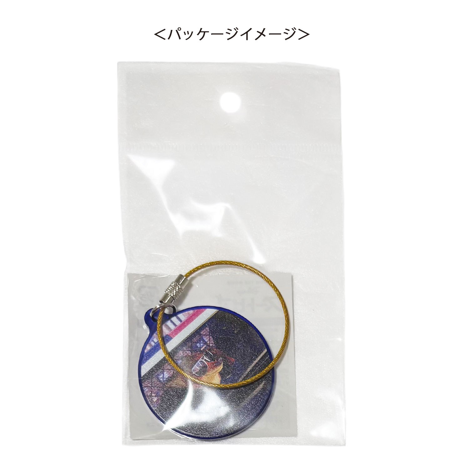 【ノベルティ対象商品A】[公式] メーカー直営 ディズニー ズートピア アクリルキーホルダー 追跡