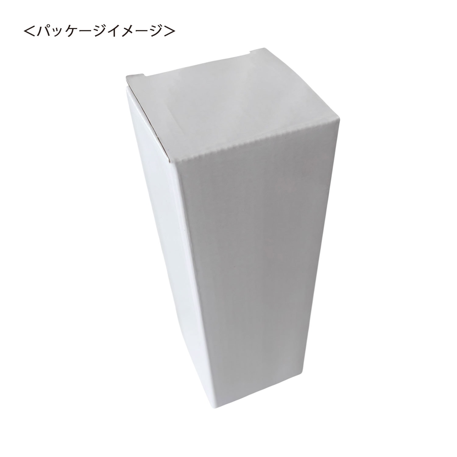 10月末発売　[公式] メーカー直営 『ディズニー ツイステッドワンダーランド』 クリアボトル 寮長