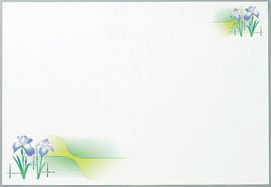 テーブルマット　グラデーションマット（菖蒲）100枚