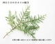 四万十ひのきオイル　15ml（木片・栞付）
