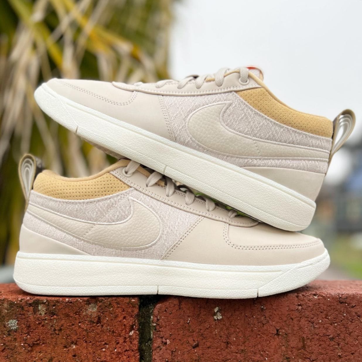 NIKE（ナイキ） | PLUSONE