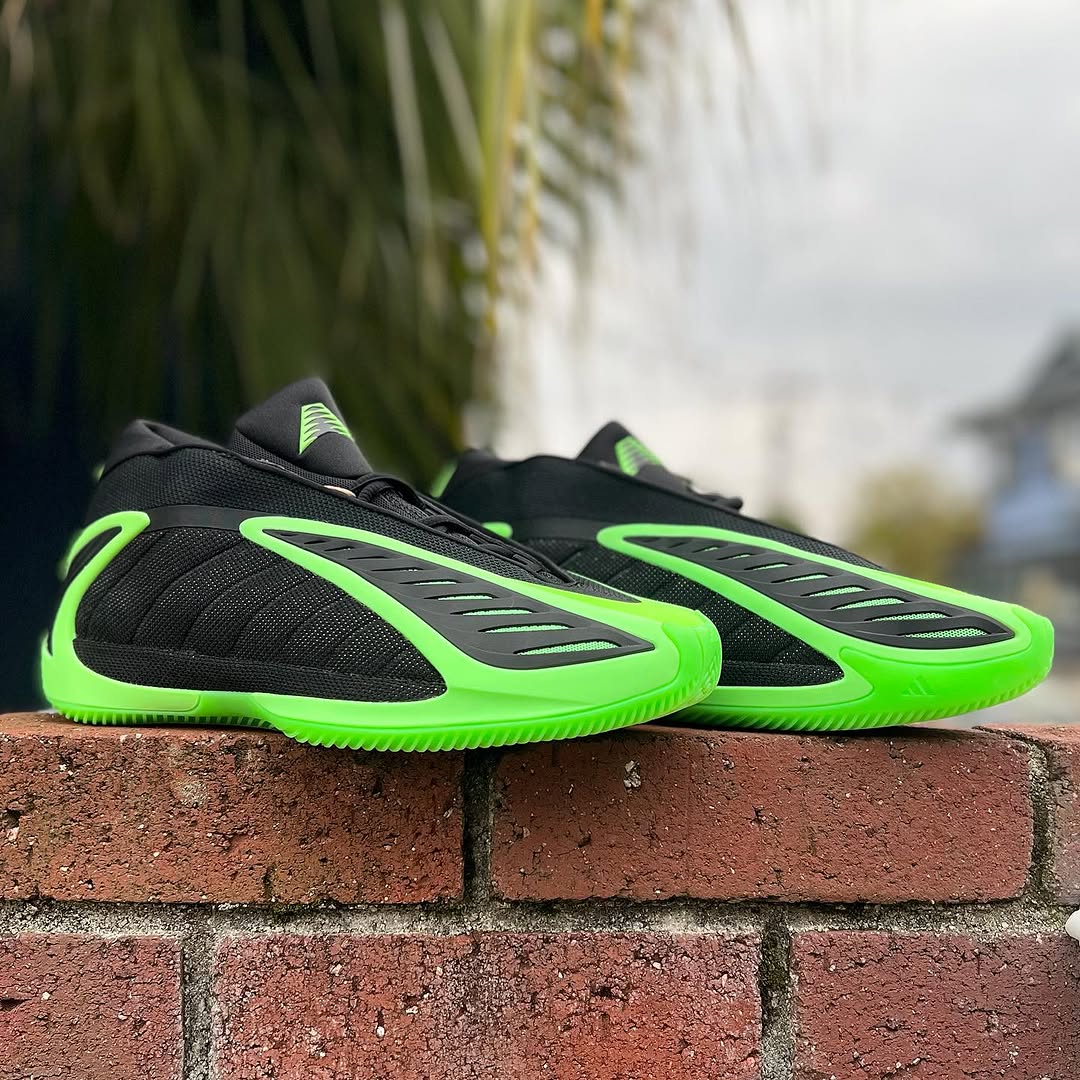 ADIDAS ANTHONY EDWARDS 2 アディダス アンソニー エドワーズ 2 core