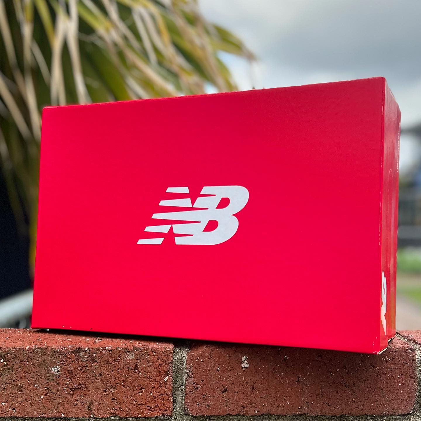 NEW BALANCE FUELCELL TWO WXY V4 ニューバランス バッシュ