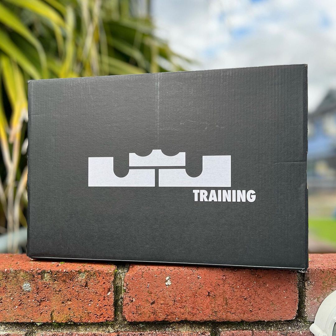 NIKE LEBRON TR 1 'BUTTER WITH AGE' ナイキ レブロン トレーナー 1