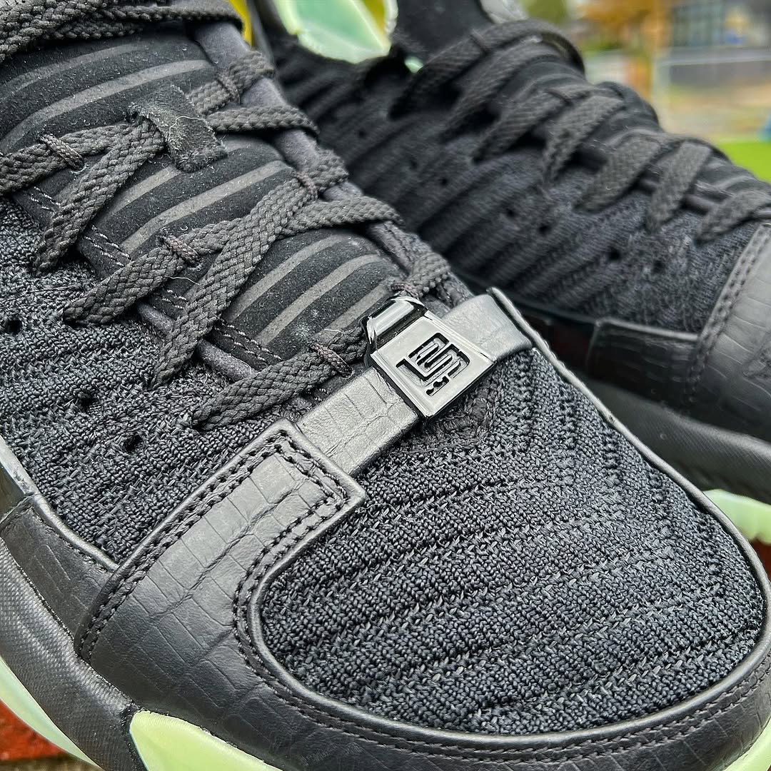 レブロン16 グローインザダーク　28cm レブロン16 グローインザダーク 28cm レブロン16 グローインザダーク