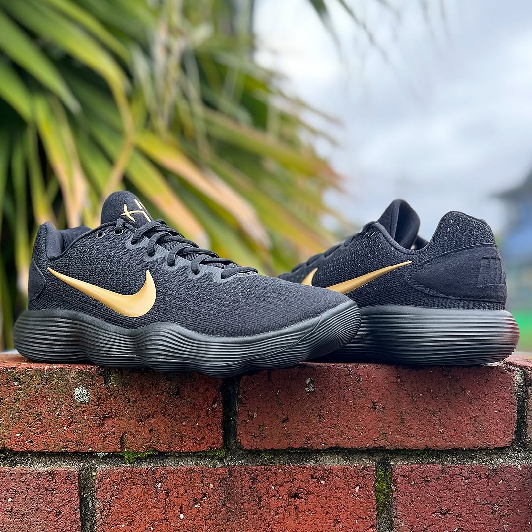 ナイキ ハイパーダンク HYPER DUNK 2017 LOW EP 25.5 NIKE HYPERDUNK 2017 LOW EP ナイキ ハイパーダンク 2017 EP
