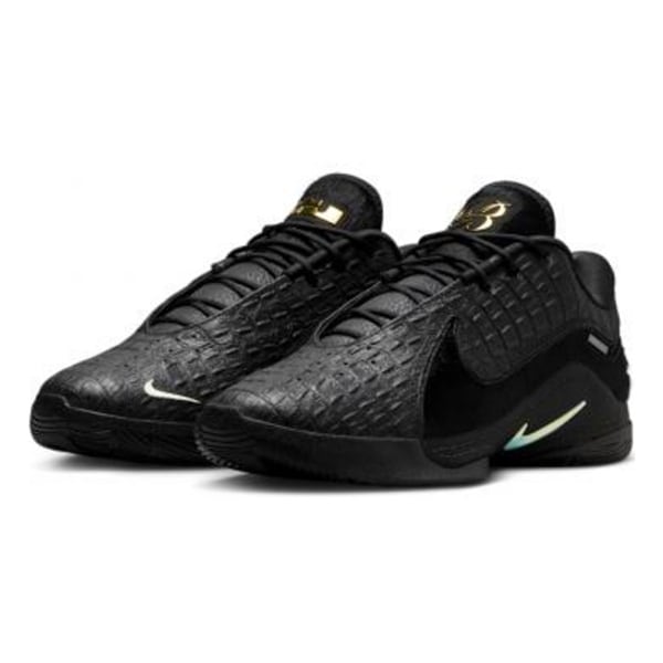 NIKE LEBRON 22 EP 'BLACK LABEL' ナイキ レブロン 22 【MEN'S】 black