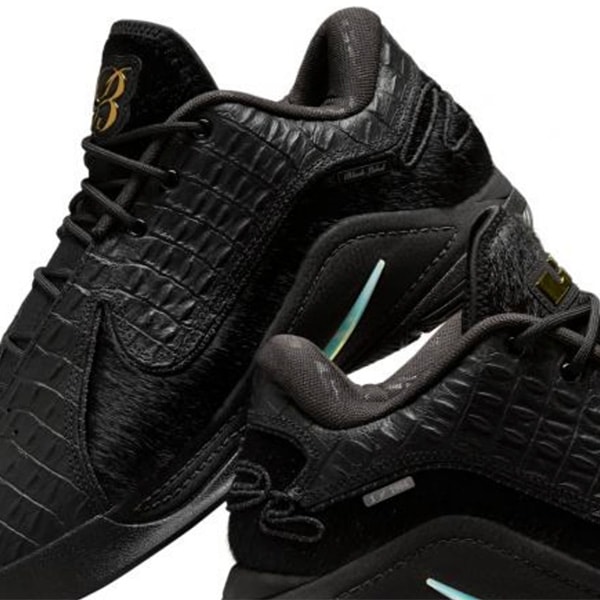 NIKE LEBRON 22 レブロン22 BLACK LABEL 27cm NIKE LEBRON 22 レブロン22 BLACK LABEL 27cm