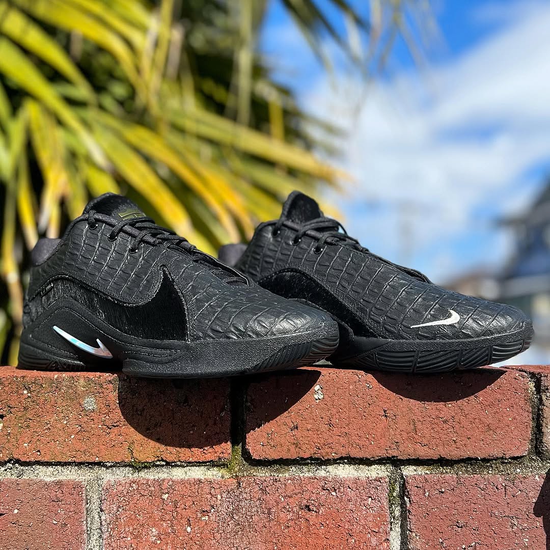 NIKE LEBRON 22 EP 'BLACK LABEL' ナイキ レブロン 22 【MEN'S