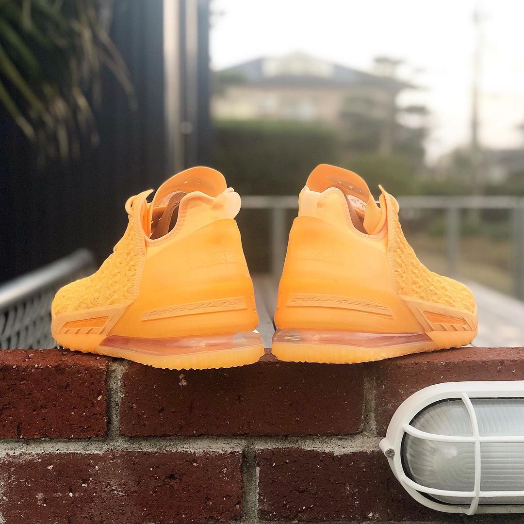 NIKE LEBRON XVIII 'SISTERHOOD' ナイキ レブロン 18 シスターフッド