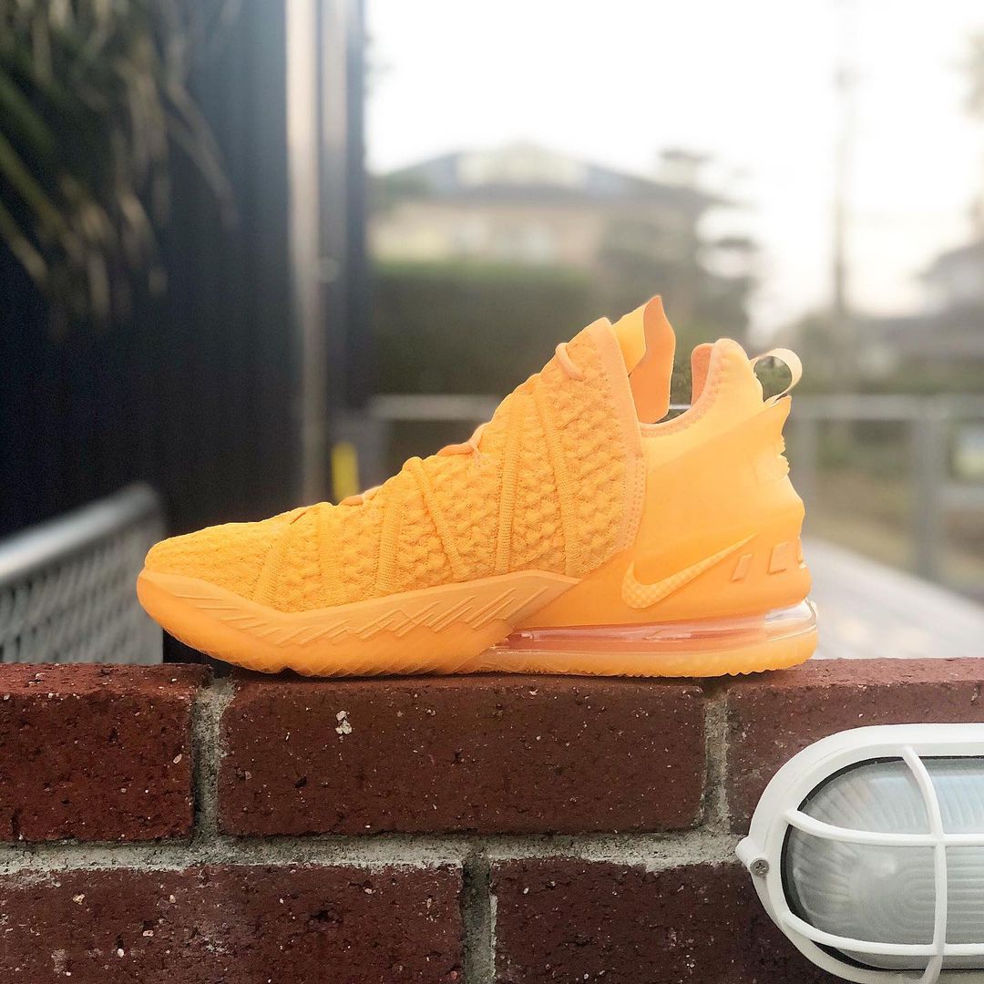 NIKE LEBRON XVIII 'SISTERHOOD' ナイキ レブロン 18 シスターフッド