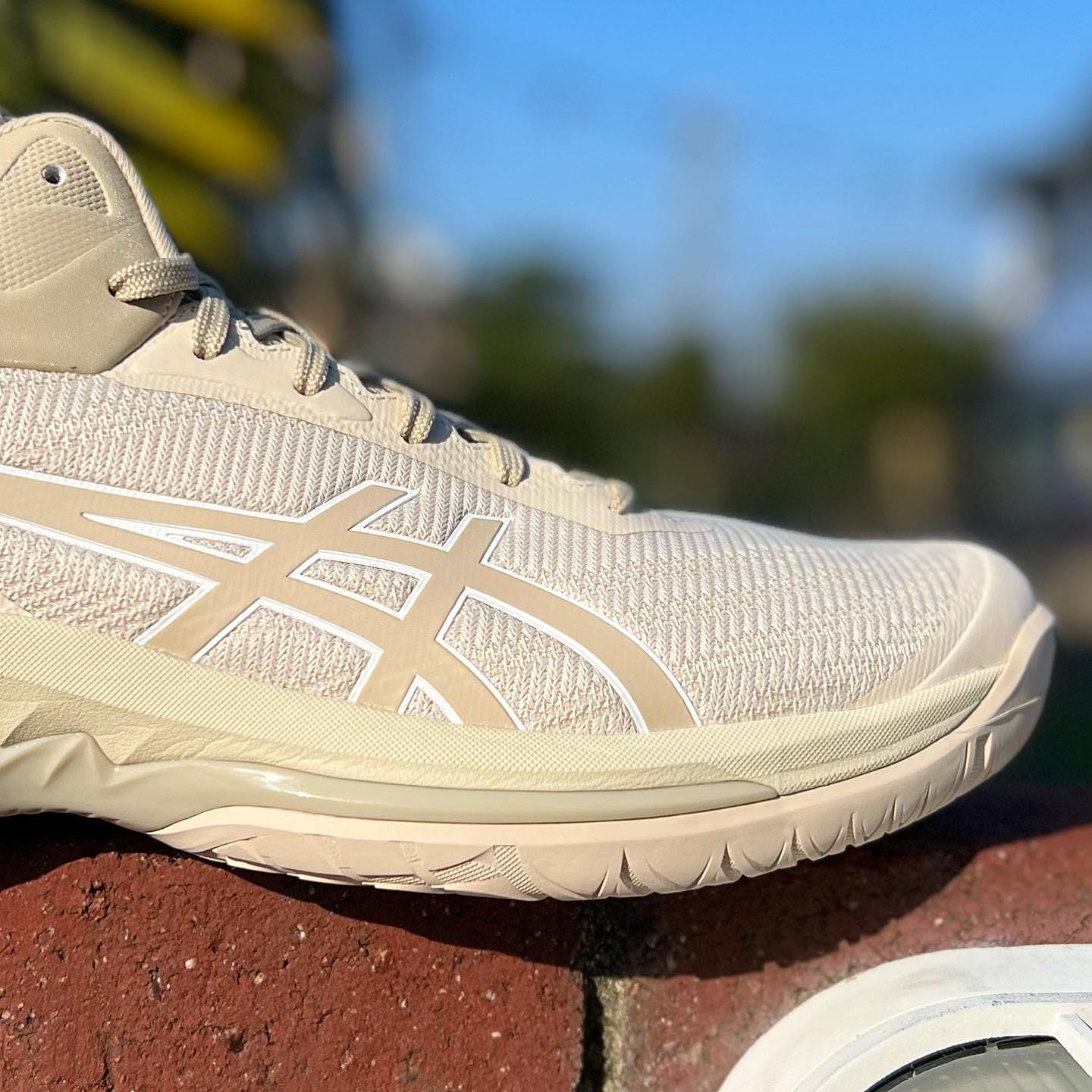 asics - 28.5センチ/アシックス ゲルバースト24LOW ASICS[アシックス] GELBURST 24 LOW / ゲルバースト 24 ロー