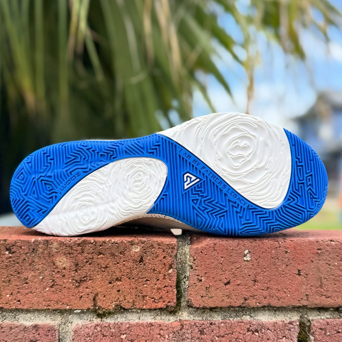 NIKE ZOOM FREAK 1 'BUCKS' ナイキ ズーム フリーク 1 ヤニス