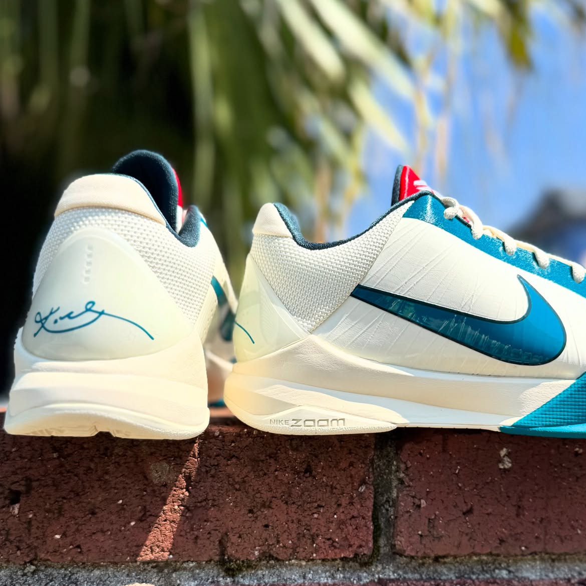 NIKE KOBE 5 PROTRO 'CAITLIN CLARK COCONUT MILK' ナイキ コービー