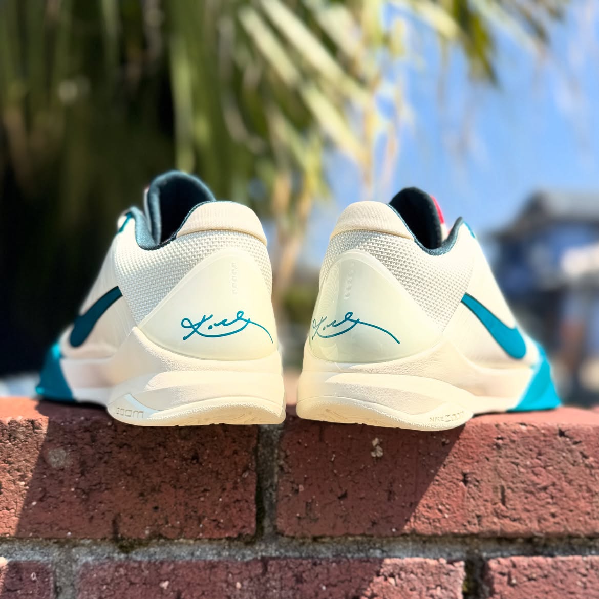 NIKE KOBE 5 PROTRO 'CAITLIN CLARK COCONUT MILK' ナイキ コービー