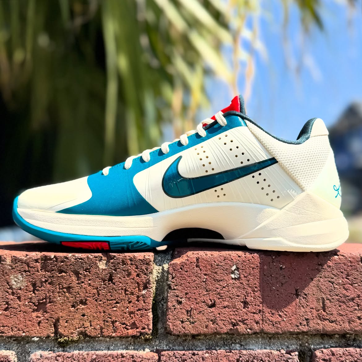 NIKE KOBE 5 PROTRO 'CAITLIN CLARK COCONUT MILK' ナイキ コービー