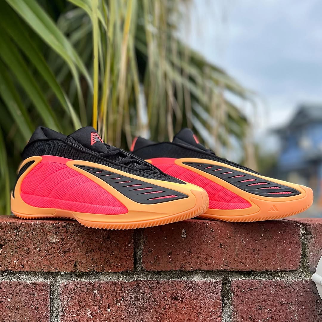 ADIDAS ANTHONY EDWARDS 2 アディダス アンソニー エドワーズ 2 acid