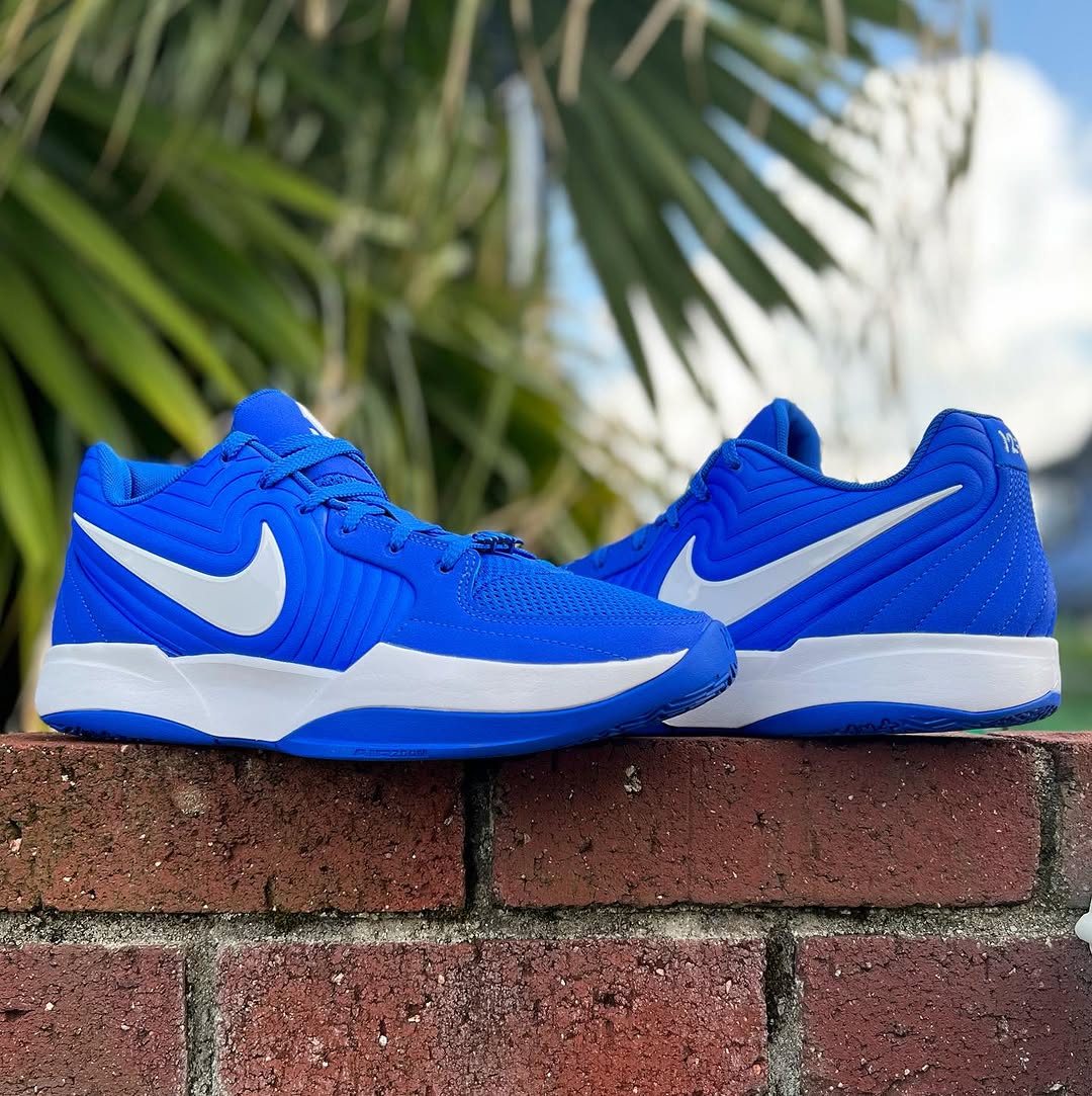 NIKE JA 2 EP TB ナイキ ジャ 2 ジャ モラント 【MEN'S】 royal blue