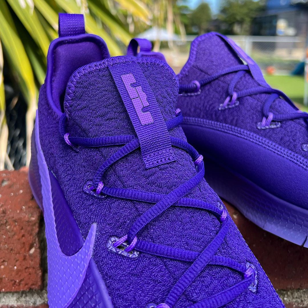 NIKE LEBRON TR 1 'PURPLE RAIN' ナイキ レブロン トレーナー 1