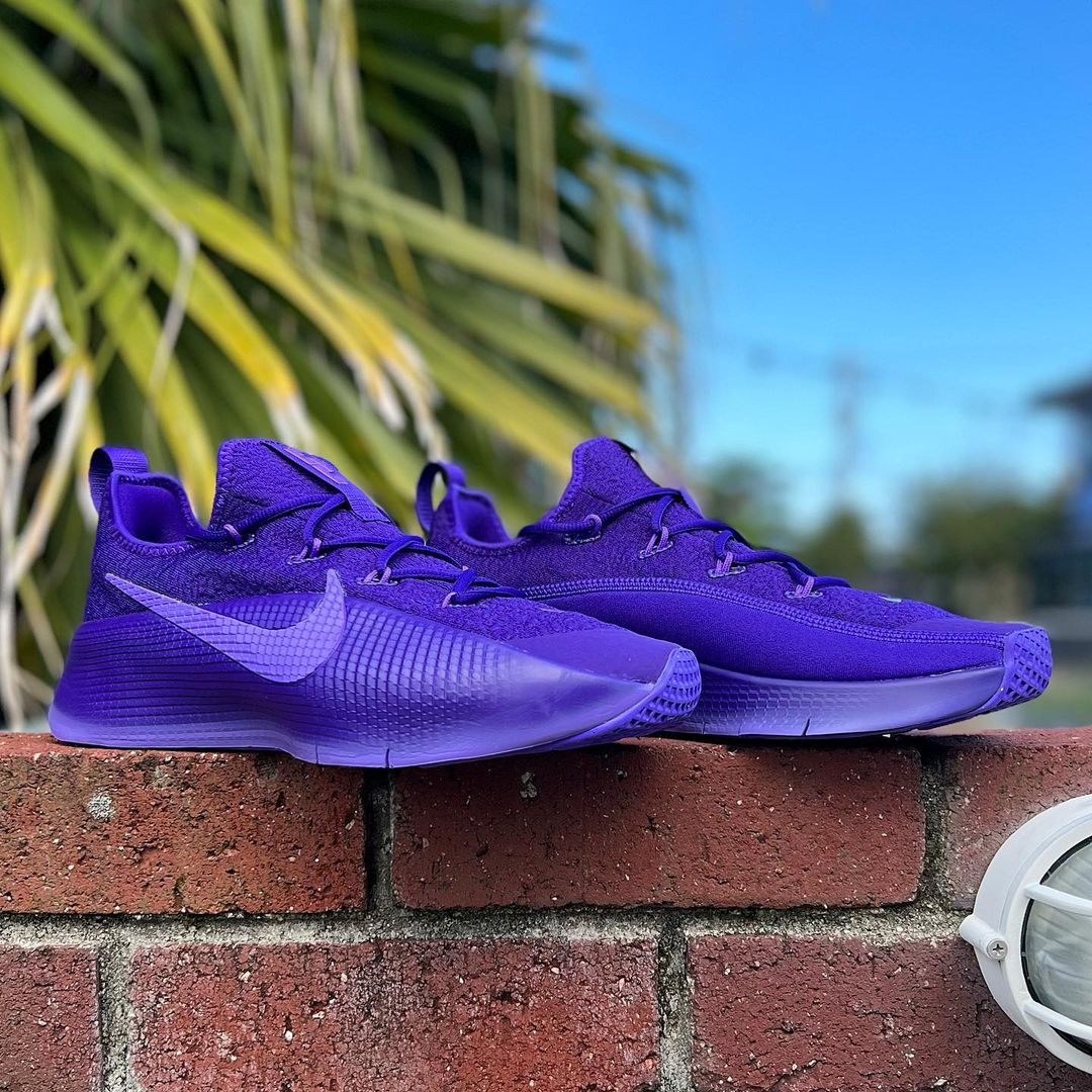 NIKE LEBRON TR 1 'PURPLE RAIN' ナイキ レブロン トレーナー 1