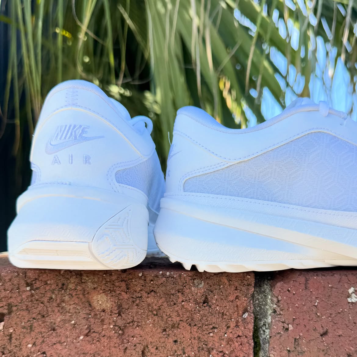NIKE ZOOM FREAK 5 TB ナイキ ズーム フリーク 5 ヤニス アデトクンボ