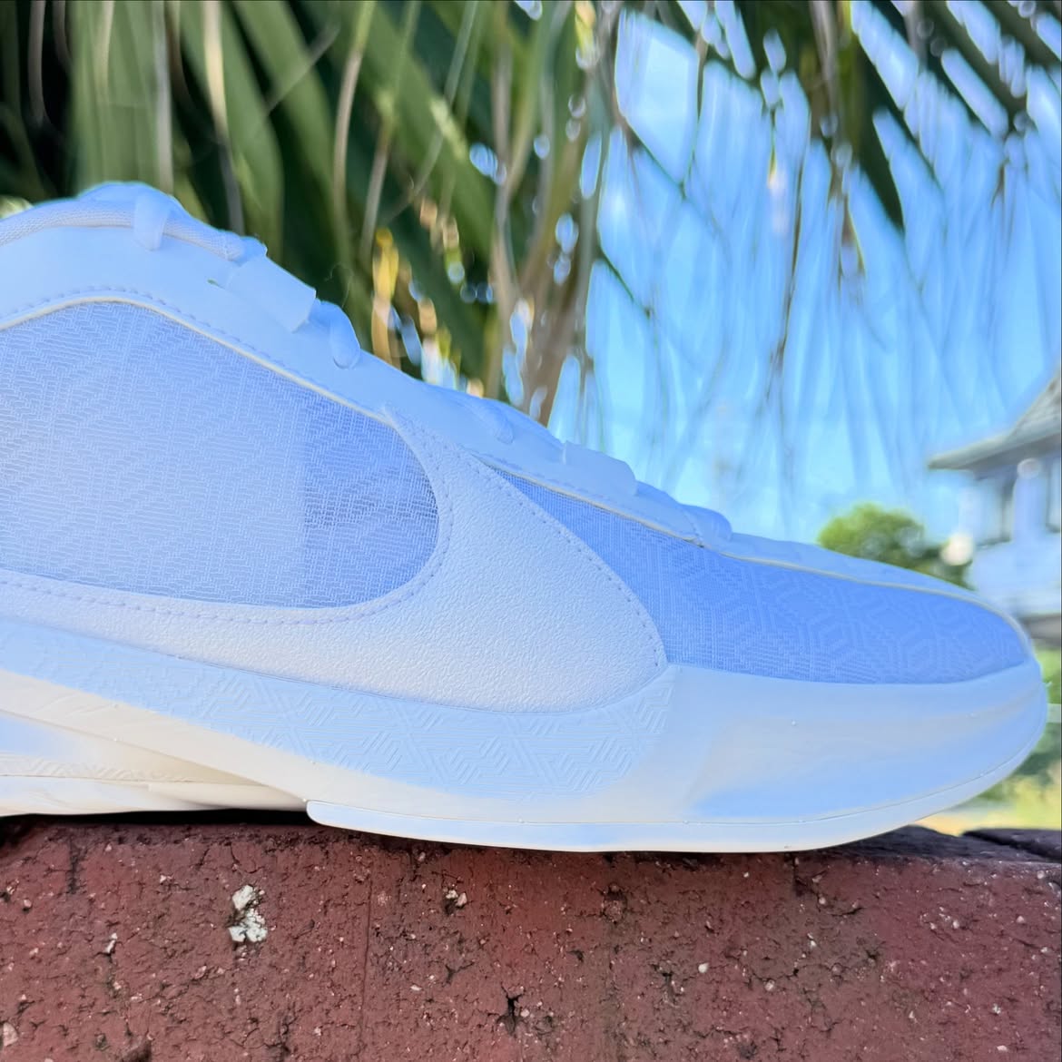 NIKE ZOOM FREAK 5 TB ナイキ ズーム フリーク 5 ヤニス アデトクンボ