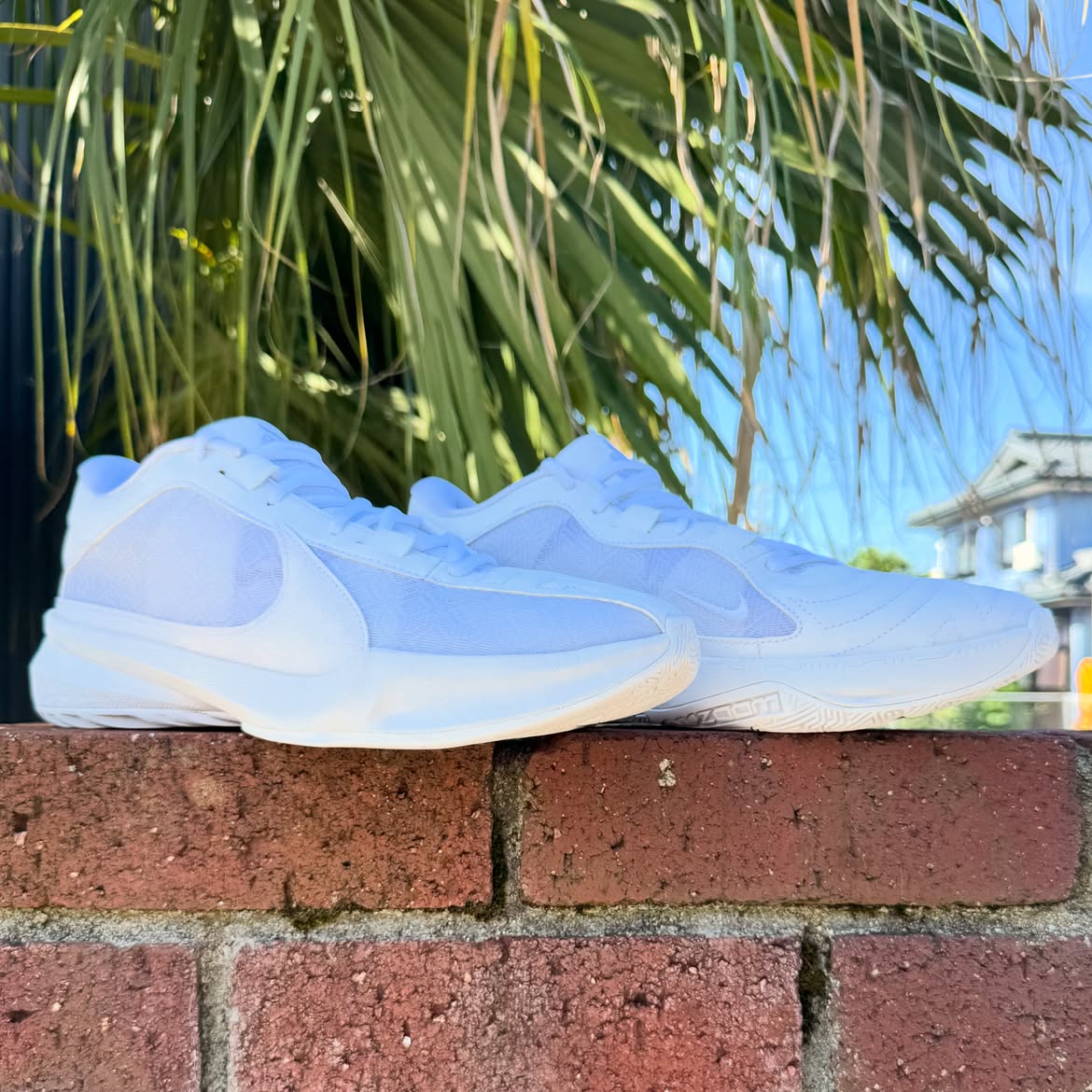 NIKE ZOOM FREAK 5 TB ナイキ ズーム フリーク 5 ヤニス アデトクンボ