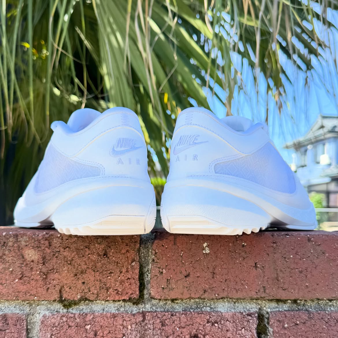 NIKE ZOOM FREAK 5 TB ナイキ ズーム フリーク 5 ヤニス アデトクンボ