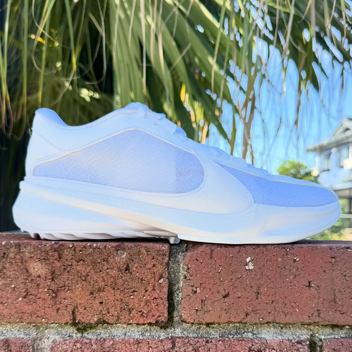 NIKE ZOOM FREAK 5 TB ナイキ ズーム フリーク 5 ヤニス アデトクンボ