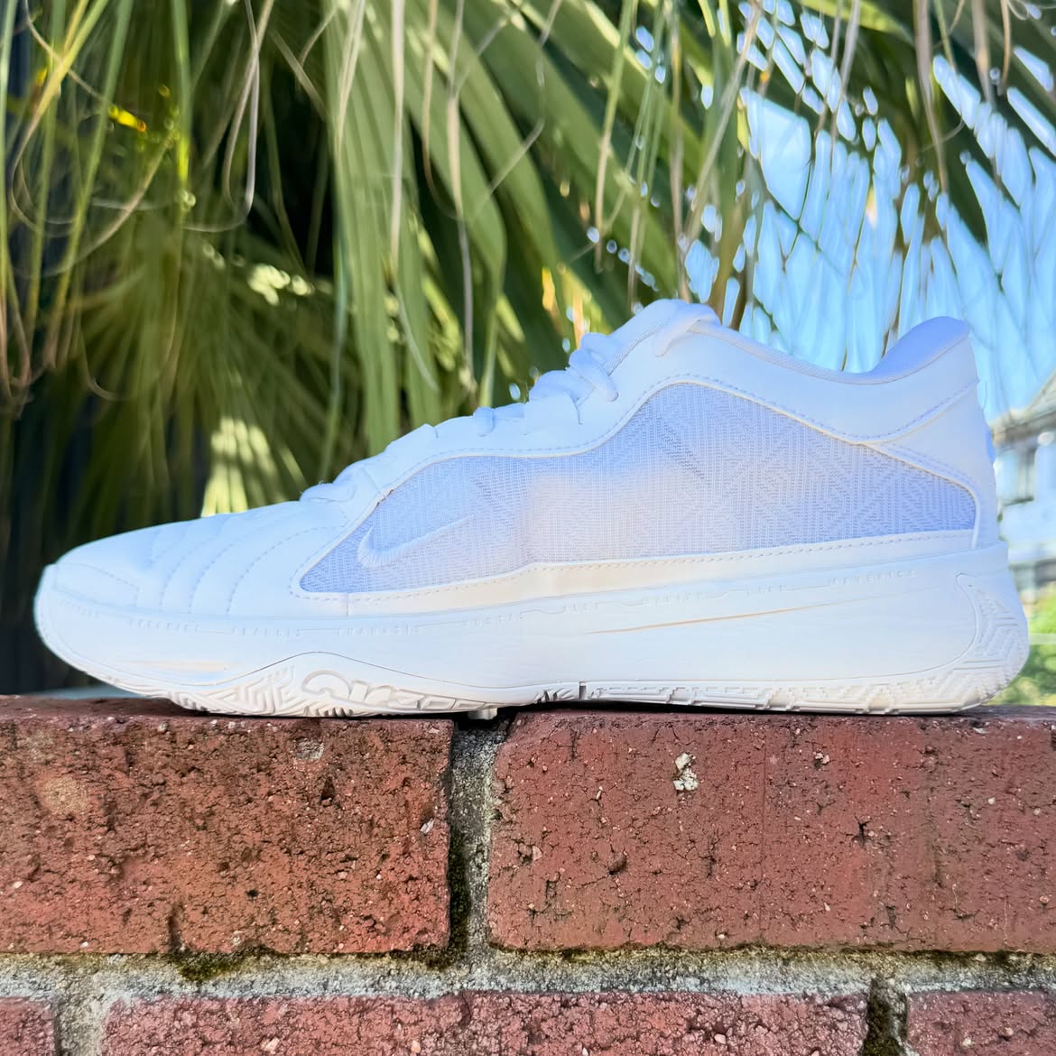 NIKE ZOOM FREAK 5 TB ナイキ ズーム フリーク 5 ヤニス アデトクンボ