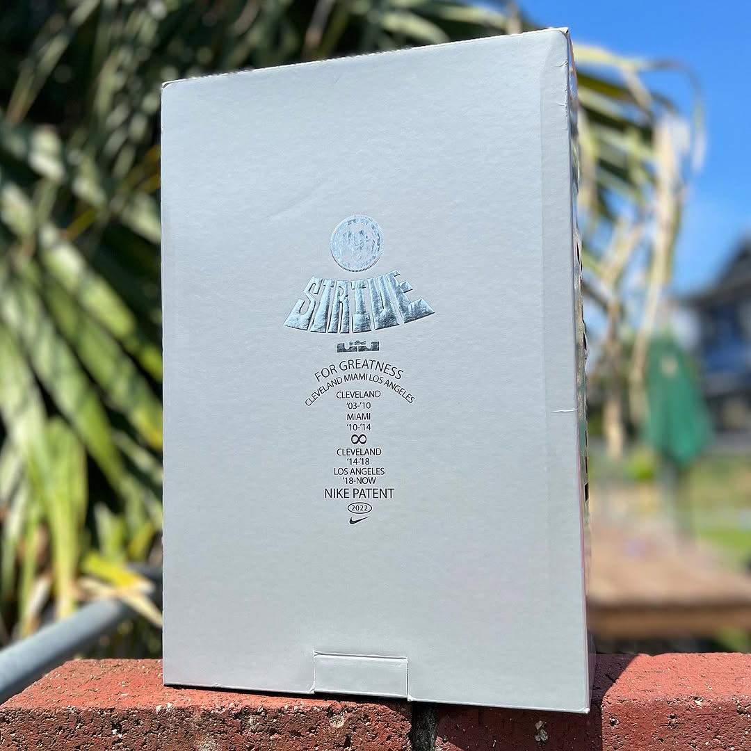 NIKE LEBRON XX 'PINK DIAMOND' ナイキ レブロン 20 【MEN'S】 pink