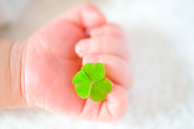 JHFAǧ��ץ饻�󥿷򹯿���  �¥ץ饻��30000