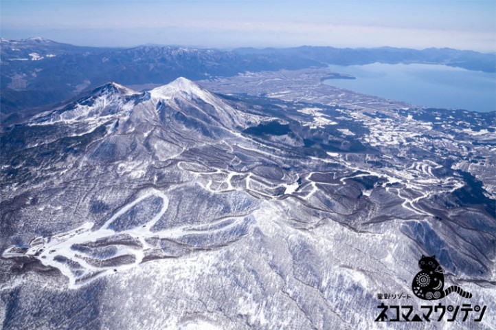 ネコマ マウンテン 超早割リフト5日券[大人]