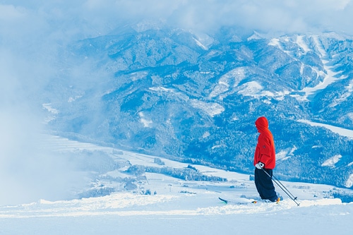 高鷲スノーパーク＆ダイナランド共通1日券 高鷲＆ダイナランド 共通1日券[大人]