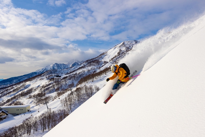 ロッテアライリゾート　エコノミークラス　ゴンドラ・リフト1日券　2枚セット ロッテアライリゾート エコノミークラスチケット 2枚 ロッテ