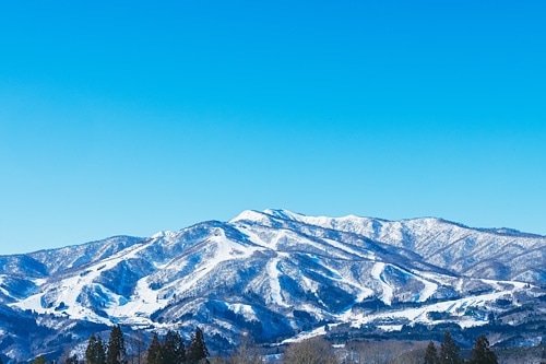 高鷲スノーパーク＆ダイナランド共通リフト1日券 高鷲スノーパーク スキー場リフト券 2枚セット 高鷲スノーパーク