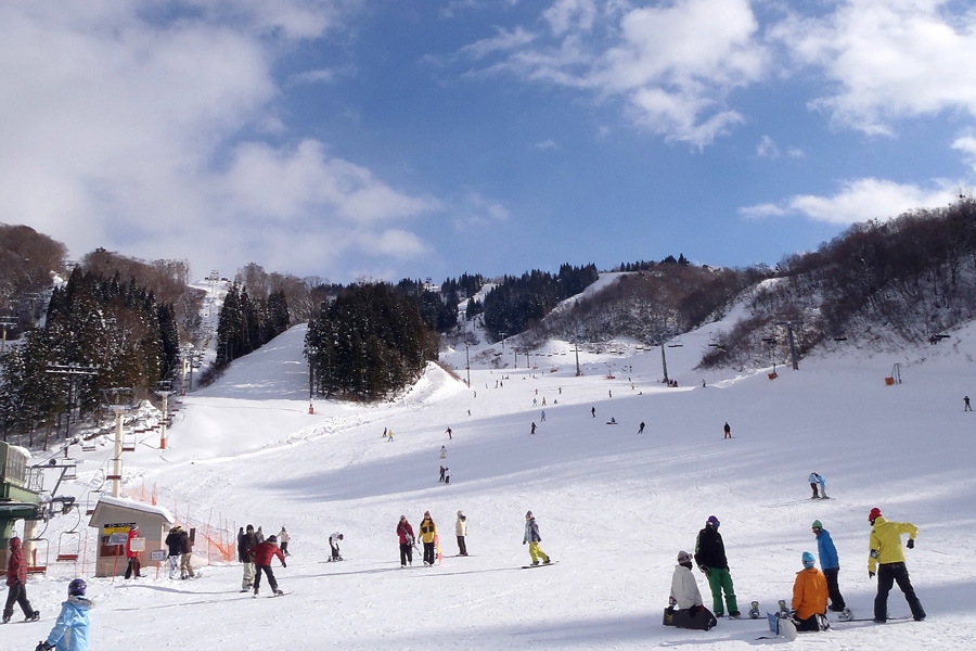 ホワイトピアたかすスキー場 1日券 3枚 リフト券 015717d4-0c86-4f60-ab75-