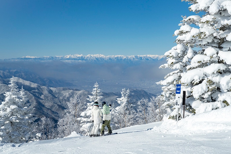 焼額山 早割リフト1日券