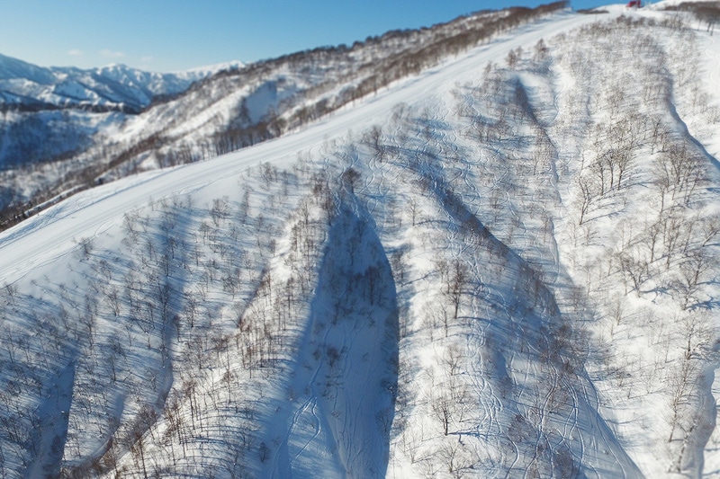 夏油高原 早割大人リフト1日券
