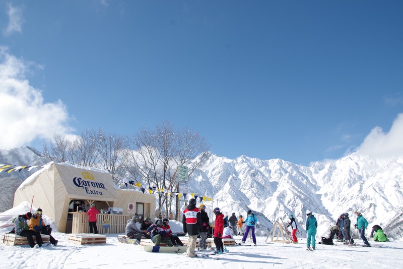 エイブル白馬五竜＆Hakuba47 早割1日券[小人]