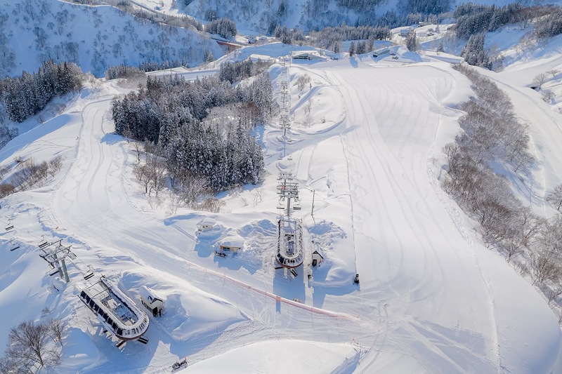 送料無料 リフト券 子供２枚 ペア GARA湯沢 NASPA 神立高原 湯沢中里 岩原 湯沢高原 湯沢パーク 一本杉 湯沢地区８スキー場共通 1日券 湯沢スノーリンク3山共通リフト券2枚GALA湯沢・湯沢高原・石打丸山