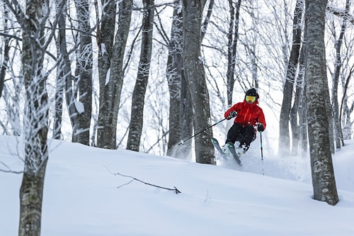 石打丸山 リフト・ゴンドラ1日券（全日）【予約販売】