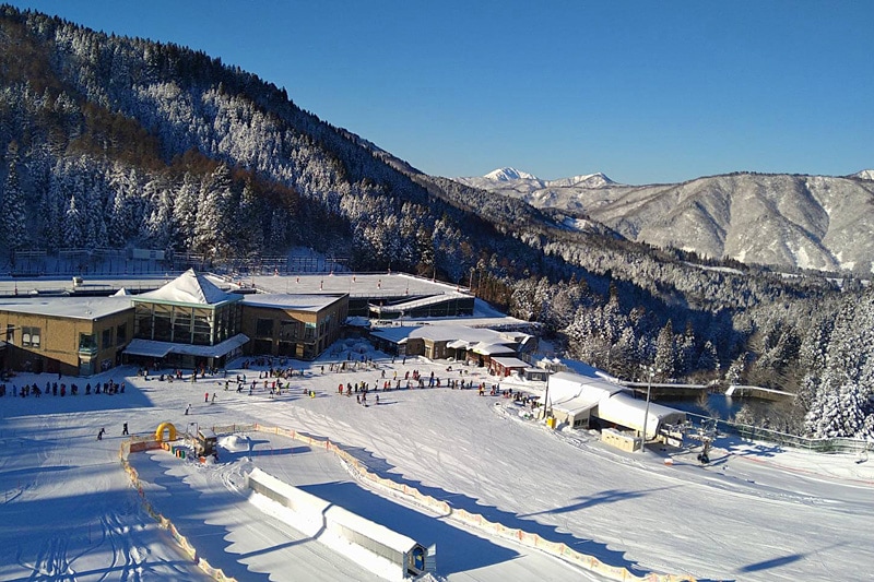 ウイングヒルズ白鳥 早割リフト1日券3枚セット[～11/30]