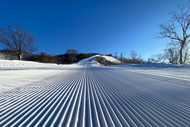 ウィングヒルズ白鳥リゾート全日リフト1日券 2025年3月末日まで(４枚セット) ウイングヒルズ白鳥リゾート 超早割リフト1日券×4枚セット＜全日