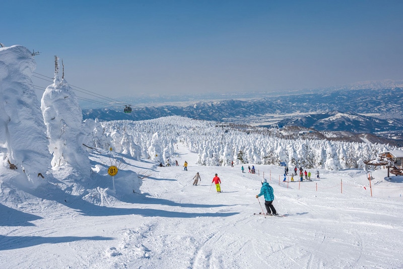 山形蔵王温泉スキー場 早割リフト引換券
