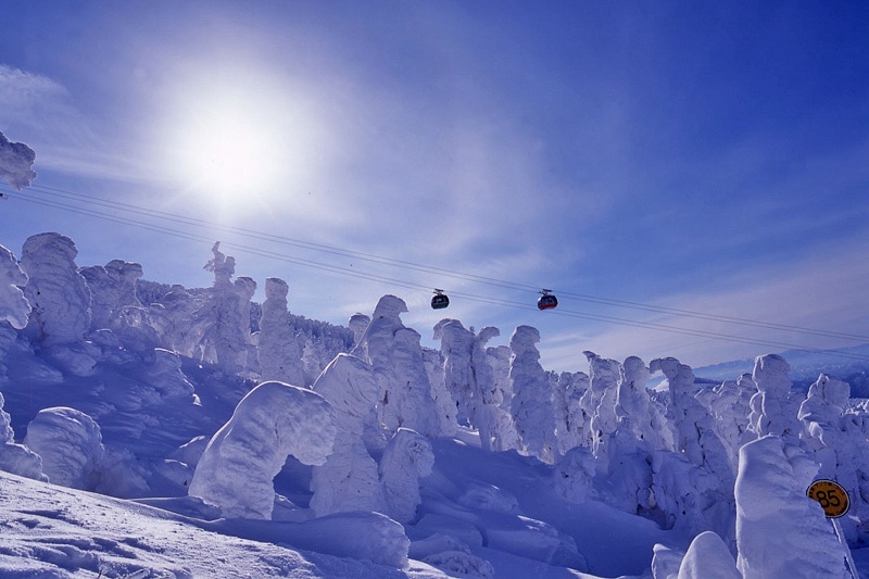 山形蔵王温泉スキー場 早割リフト引換券